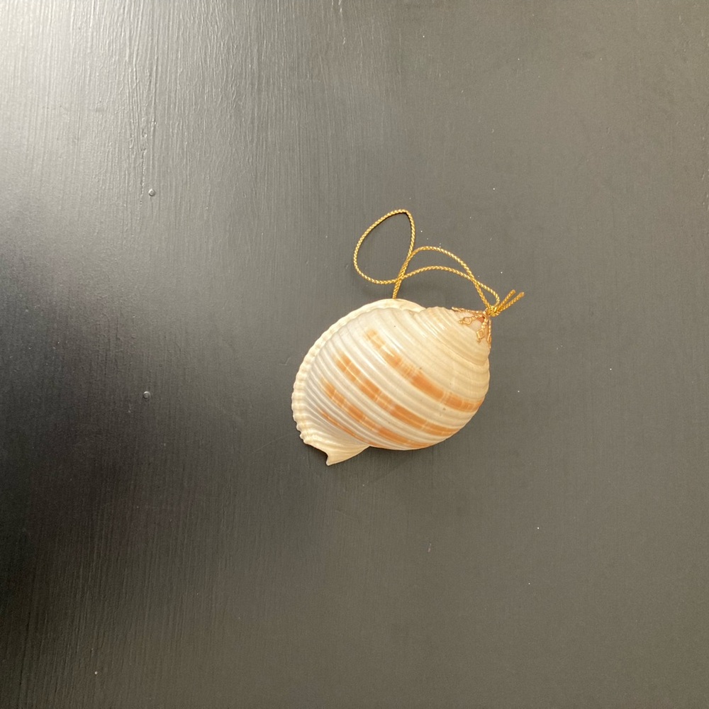 Coastal Seashell Ornament with Gold Accent